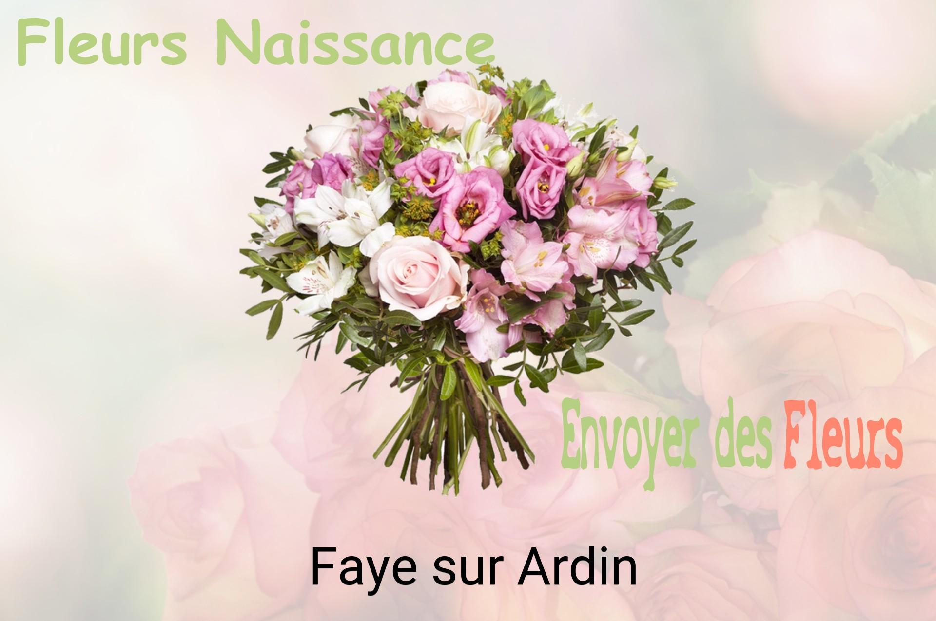 Bouquet de fleurs de naissance livré à Faye-sur-Ardin